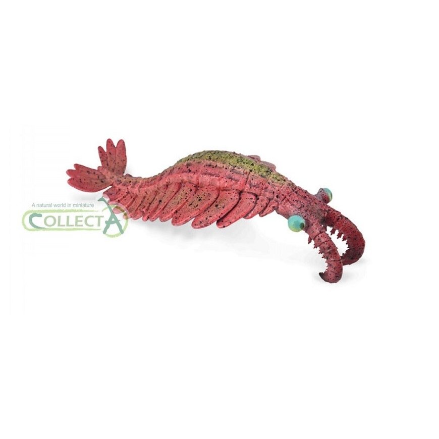Collecta Фигурка - Anomalocaris