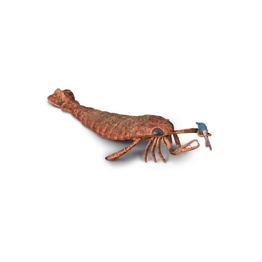 Collecta Figuur - Anomalocaris – 2
