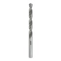RUKO 214100 puuritera Metallipuur 1 tk RUKO 214100 puuritera Metallipuur 1 tk