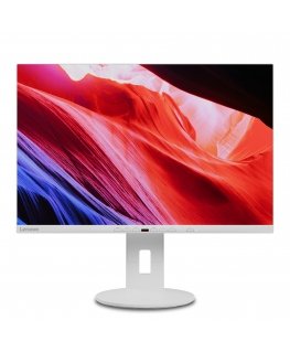 Lenovo C24d-20 tietokoneen litteä näyttö 61 cm (24") 1920 x 1200 pikseliä Full HD LED Harmaa, Valkoinen