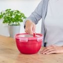 EMSA N10605 Round Box 1.1 L Red, Transparent 1 pc(s) EMSA N10605 Round Box 1.1 L Red, Transparent 1 pc(s)