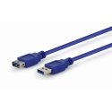 Gembird 3m USB 3.0 A M/FM USB-kaapeli USB 3.2 Gen 1 (3.1 Gen 1) USB A Sininen