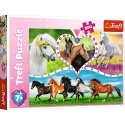 Trefl 13248 pusle 200 tk Animals