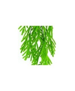 ProGarden VIRIDIS Искусственное растение Ветка Эвкалипта 80 см AW25