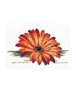Andriana Beldizart Joy Gift SAND-08