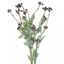 Eurofirany KW/NATU/389/FIOL FIOL Eurofirany KW/NATU/389/FIOL FIOL