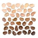 Essence 951763 foundation makeup 10 g Stick Cream 240 Essence 951763 foundation makeup 10 g Stick Cream 240