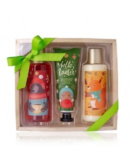 Accentra Vannitoode ja dušigeel HELLO WINTER 200 ml