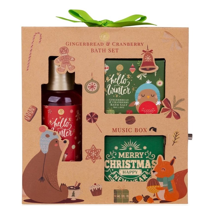 Accentra Kylpylä- ja suihkugeeli HELLO WINTER 200 ml – 2