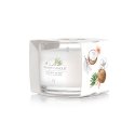 Yankee Candle Coconut Beach vaska svece Apaļš Kokosrieksts Balts 1 pcs Yankee Candle Coconut Beach vaska svece Apaļš Kokosrieksts Balts 1 pcs