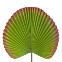 Eurofirany KW / LAIKAS / 32 / Z + BOR Green + BORD (X6) Eurofirany KW / LAIKAS / 32 / Z + BOR Green + BORD (X6)