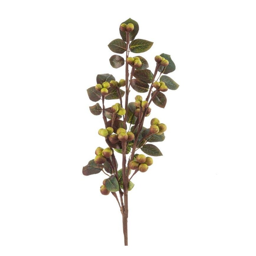 Eurofirany KW/FLORE/740/Green Green+BROWN