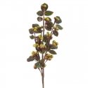 Eurofirany KW/FLORE/740/Zalias Zalias+BROWN Eurofirany KW/FLORE/740/Zalias Zalias+BROWN