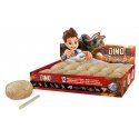 Buki D6O children science toy