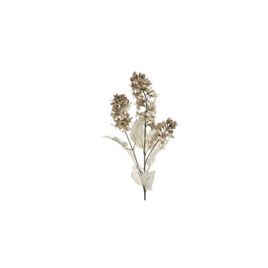 Eurofirany KW/FLORE/780/K K – 2