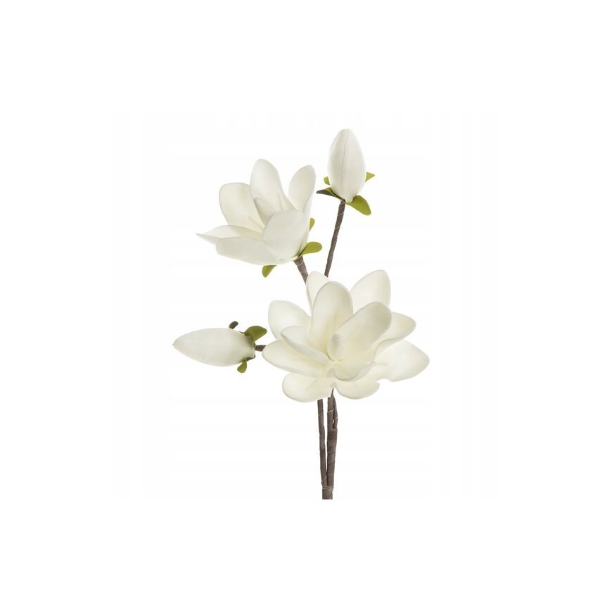 Eurofirany KW/FLORE/667/B 60X12 (X6) B