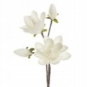 Eurofirany KW/FLORE/667/B 60X12 (X6) B Eurofirany KW/FLORE/667/B 60X12 (X6) B