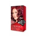 Revlon ColorSilk Beautiful Color 48 Burgundy Revlon ColorSilk Beautiful Color 48 Burgundy
