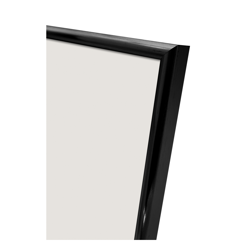 Focus Lily Black 13x18 – 2
