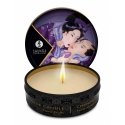 SHUNGA Exotic Fruits White 30 ml 1 pc(s) 7 h SHUNGA Exotic Fruits White 30 ml 1 pc(s) 7 h