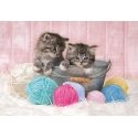 Clementoni Sweet Kittens Pusle 104 tk Fauna Clementoni Sweet Kittens Pusle 104 tk Fauna