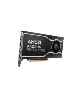 AMD Radeon Pro W7500 8 GB GDDR6