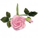 PME Floral Cutters Balts PME Floral Cutters Balts