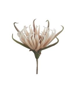 Eurofirany KW/FLORE/827/J.B J.BEIGE