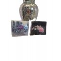 Bmd Cosmetic Body Glow kehale sära andev toode 100ml