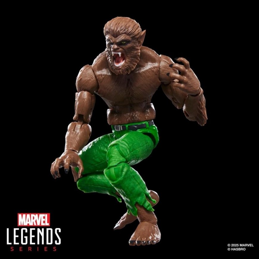 Hasbro Marvel Legends Series Werewolf By