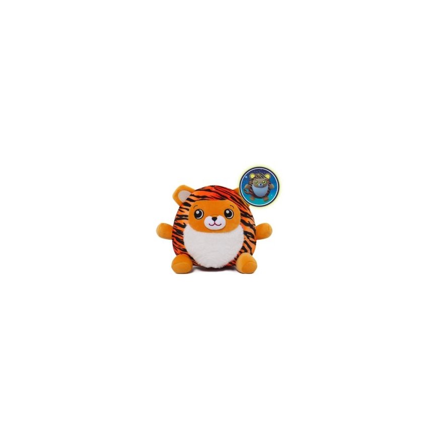 Beppe Dream Beams - Tiger Connor – 2