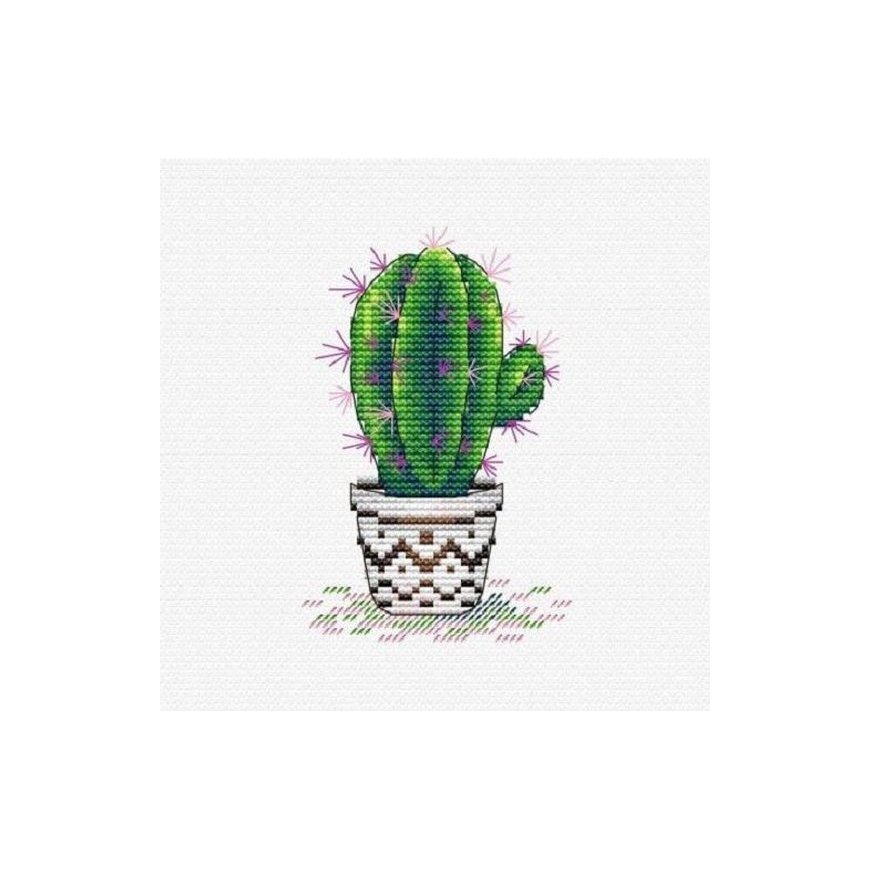 Beldizart värske kaktus SM-382 – 2