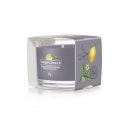 Yankee Candle Black Tea & Lemon восковая свеча Круглый Black tea (leaf), Лемон Серый 1 шт Yankee Candle Black Tea & Lemon восковая свеча Круглый Black tea (leaf), Лемон Серый 1 шт