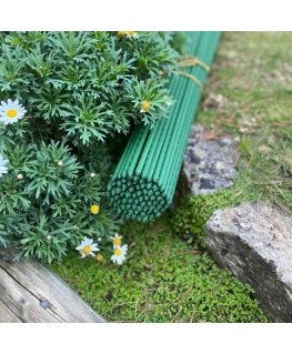 RING SUPPORT PLANT 110CM PROGARDEN