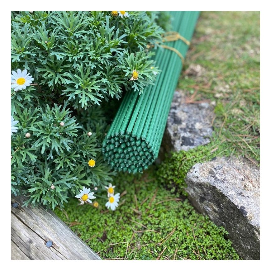 RING SUPPORT PLANT 110CM PROGARDEN