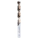 wood drill bit 6 mm, Timber Twist series, Alpen [0067100600100]