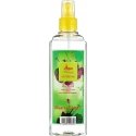 Одеколон Alvarez Gomez Verbena Fresh Eau De Cologne Спрей 300 мл Одеколон Alvarez Gomez Verbena Fresh Eau De Cologne Спрей 300 мл