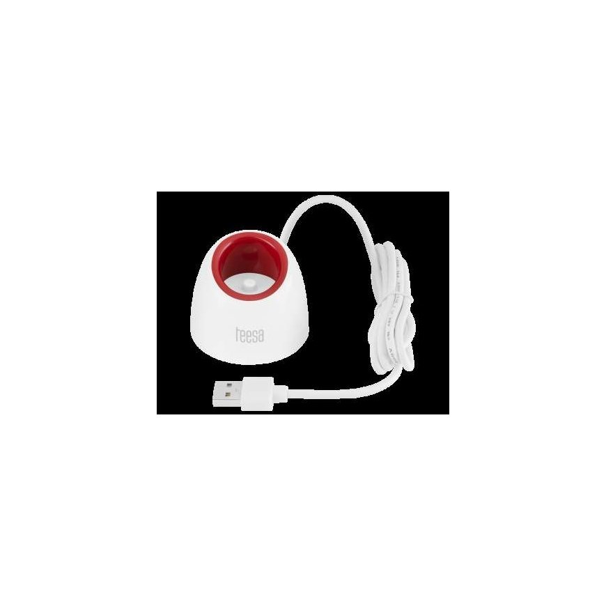Teesa SONIC JUNIOR BOY TSA8005 Toothbrush Sonic Toothbrush Charger