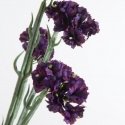 Eurofirany KW/NATU/378/FIOL FIOL Eurofirany KW/NATU/378/FIOL FIOL