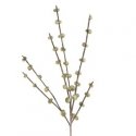 Eurofirany KW/NATU/378/FIOL FIOL Eurofirany KW/NATU/378/FIOL FIOL