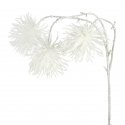 Eurofirany SW/G/77 50X20CM SZAM Eurofirany SW/G/77 50X20CM SZAM