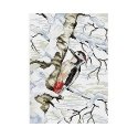 Beldizart (Nutrauktas) Woodpecker SM-099 Beldizart (Nutrauktas) Woodpecker SM-099