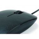 Conceptronic CLLM3BDESK kompiuterio pelė Biuras Abiems rankoms USB A tipo Optinis 800 DPI