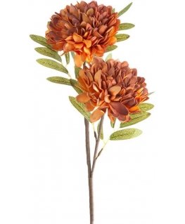 Eurofirany KW/FLORE/783/POM POMA+BROWN