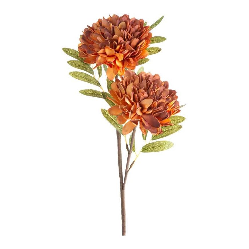Eurofirany KW/FLORE/783/POM POMA+BROWN