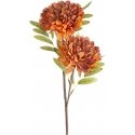 Eurofirany KW/FLORE/783/POM POMA+BROWN