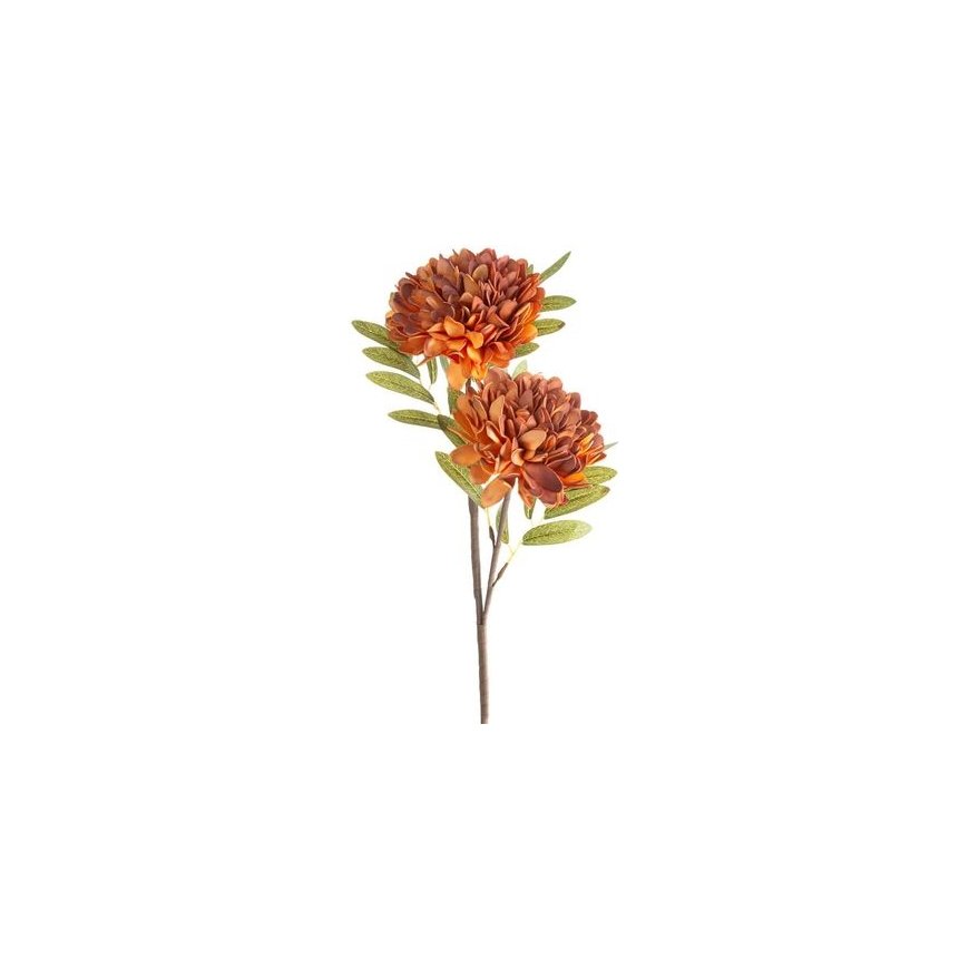 Eurofirany KW/FLORE/783/POM POMA+BROWN – 2