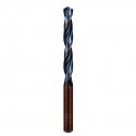 metalinis grąžtas HSS Sprint MASTER 12,0 mm ALPEN [0062601200100]