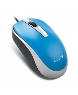 Genius Computer Technology DX-120 kompiuterio pelė Biuras Abiems rankoms USB A tipo Optinis 1000 DPI