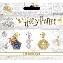 Carat Shop Harry Potter Time Turner liblikas charm Carat Shop Harry Potter Time Turner liblikas charm